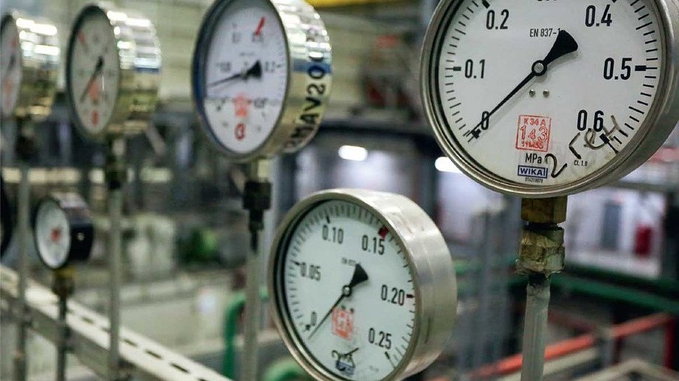 Фото: пресс-служба правительства РК 21591