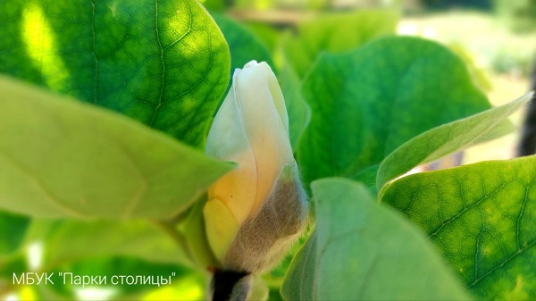 photo 2023 09 20 19 13 45