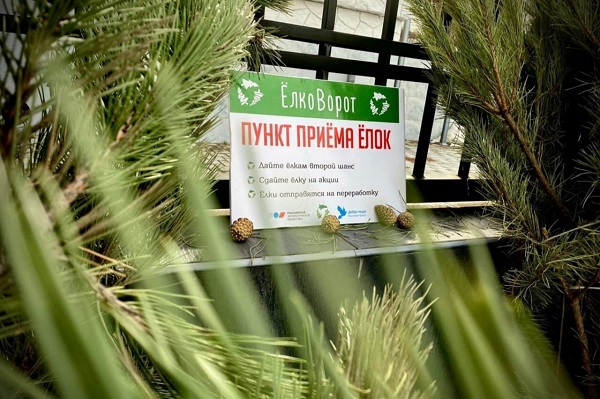 photo 2024 01 31 15 59 15