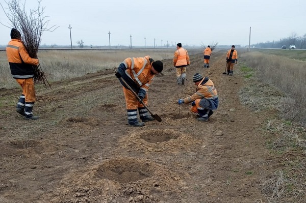 photo 2024 03 14 17 17 06