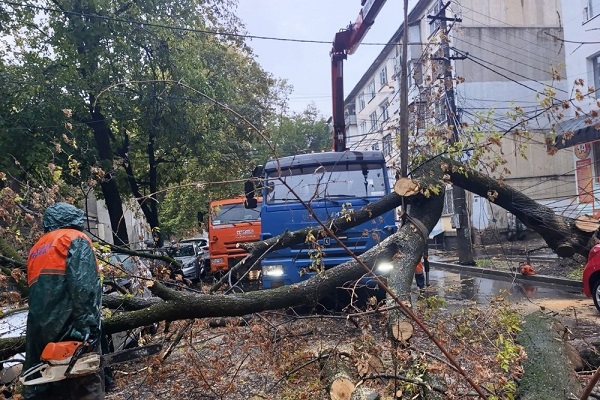 6bd54e941b6158502d77e1f3ae99a8da