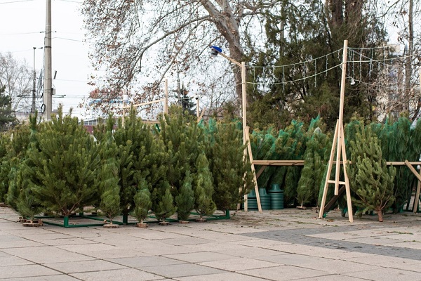 96ab9b646ae342d6c3b16f41ff68ea38