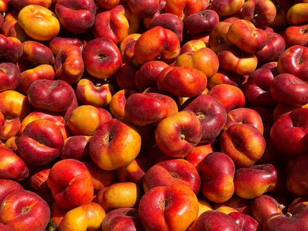 photo 2025 08 21 20 58 40