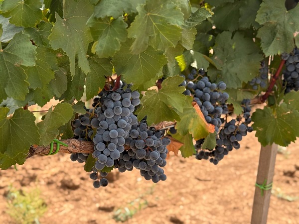 photo 2025 09 03 15 45 59