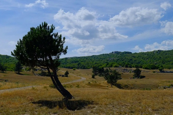 photo 2025 09 11 18 15 28