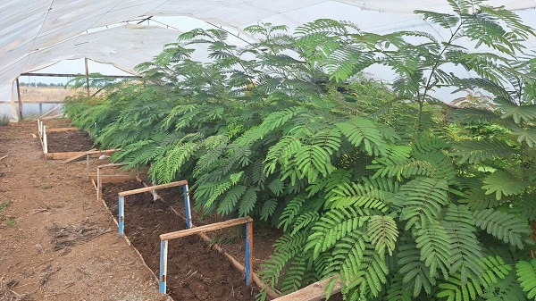 photo 2025 10 02 13 42 14