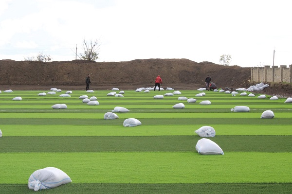 photo 2025 10 10 14 15 47