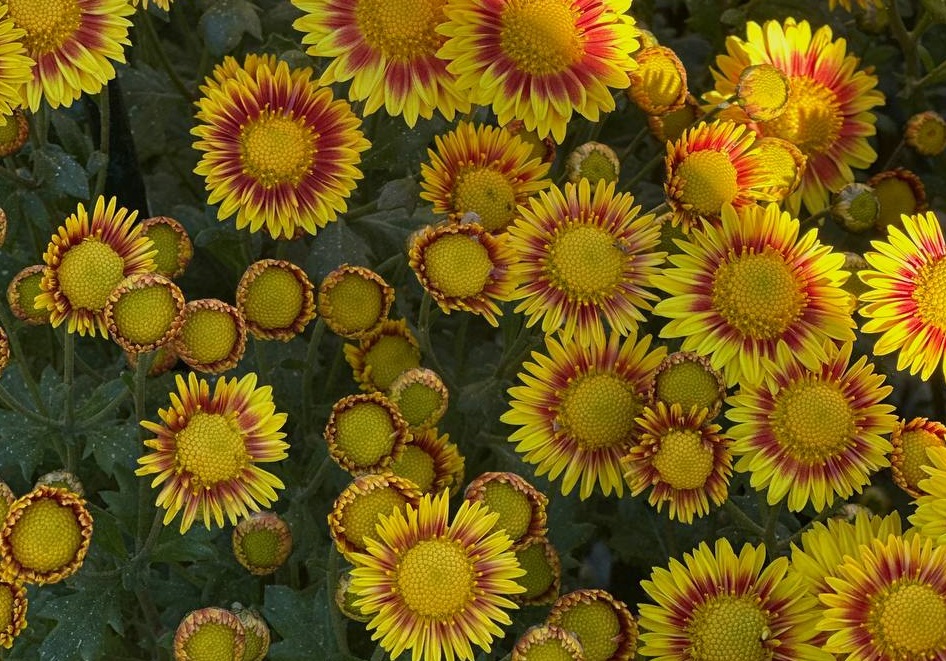 photo 2025 10 13 20 34 43