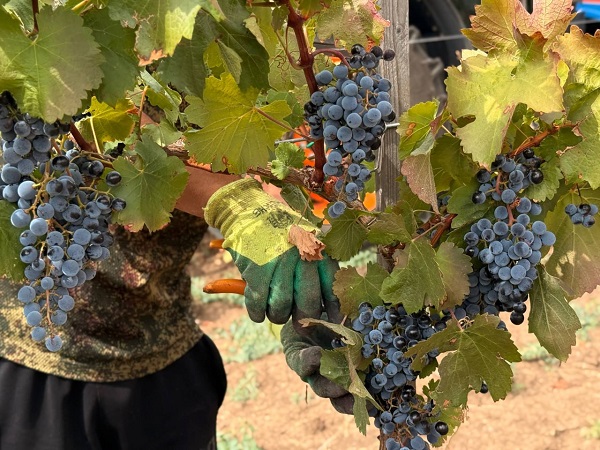 photo 2025 10 20 20 25 44