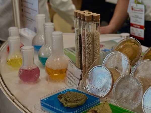 photo 2025 10 22 18 38 18