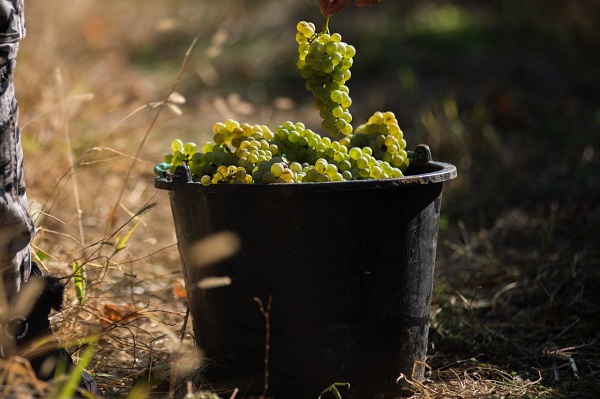 photo 2025 11 10 15 17 04