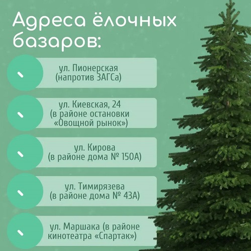 photo 2025 12 15 14 08 14