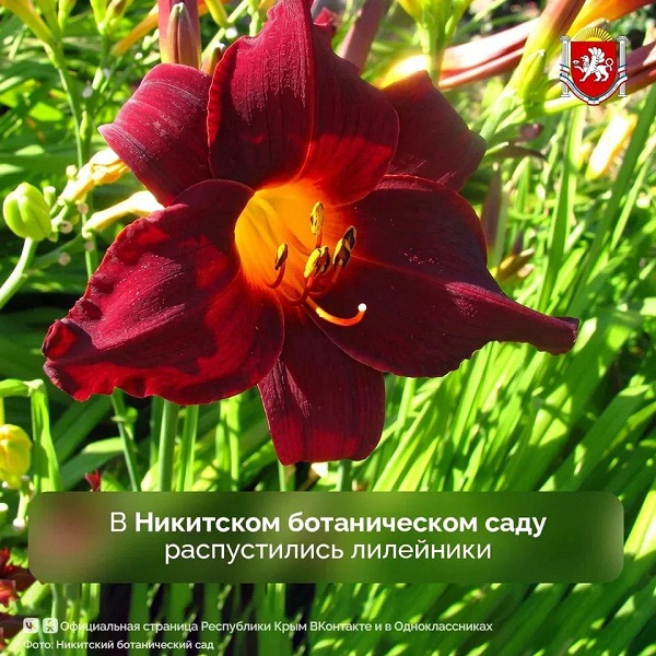 067