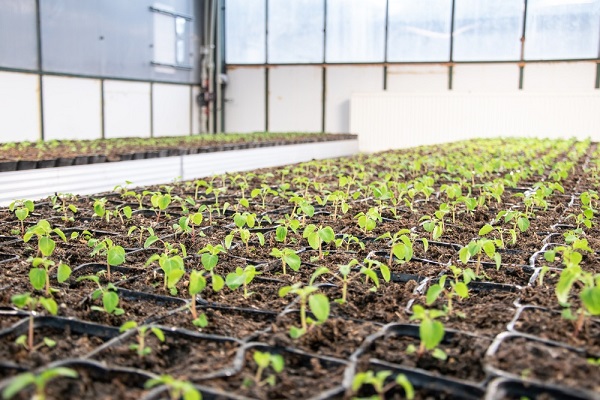 20b38a6b047adb2f705cae07e784f925