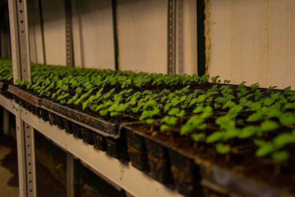 417671d72acbdc728cb37d86cd396494