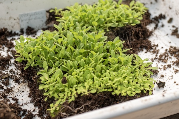 af941b82e512e7de53f34f85757e1e3e