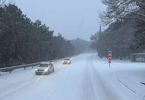 photo 2026 01 13 19 27 34