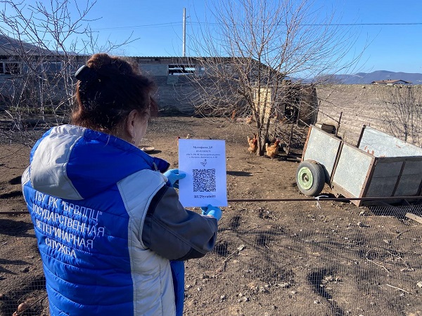 photo 2026 01 28 19 31 41