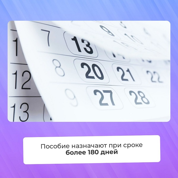 photo 2026 01 30 19 42 03