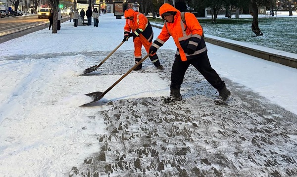 photo 2026 02 02 14 05 41