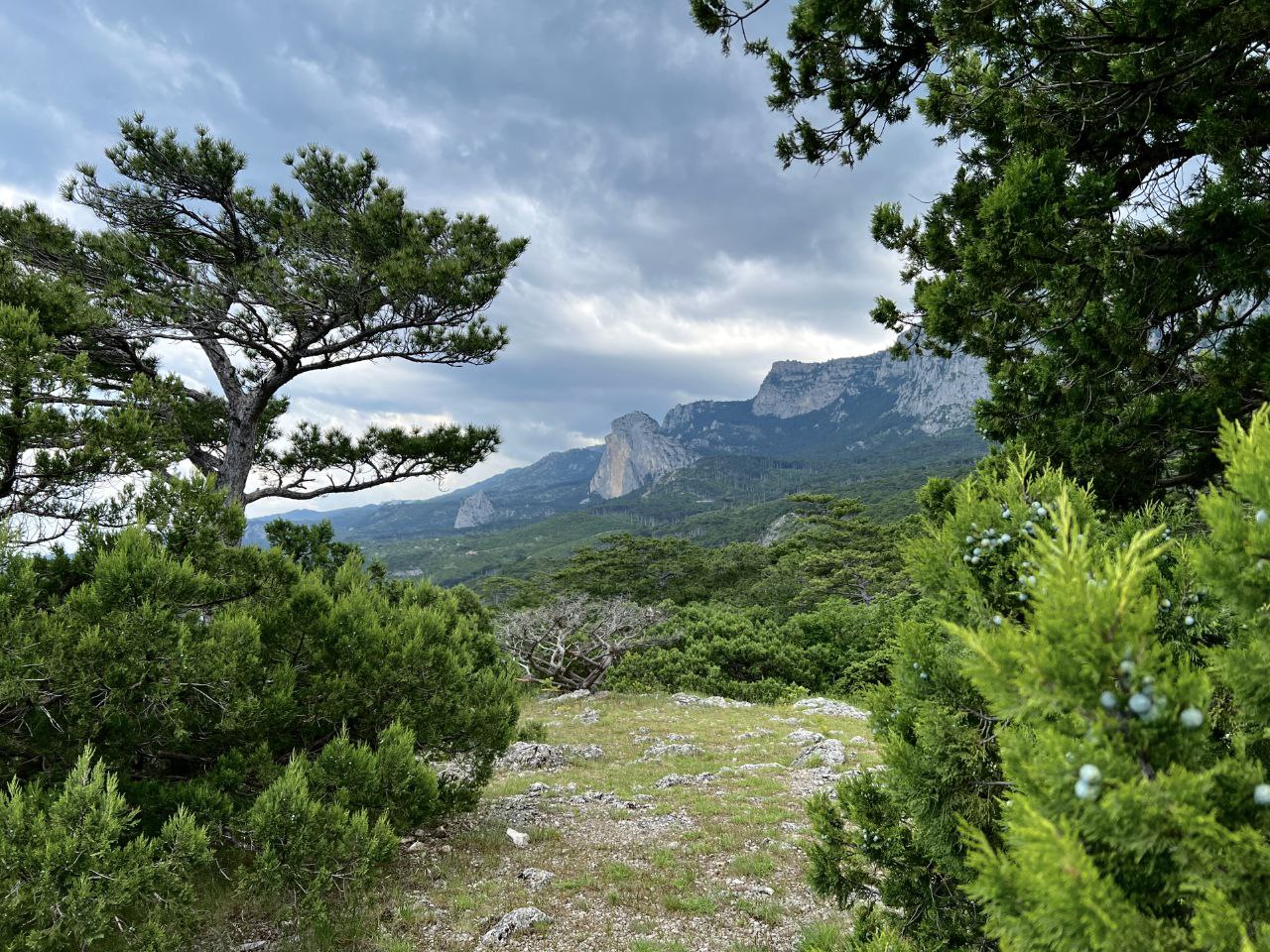 ekologiya