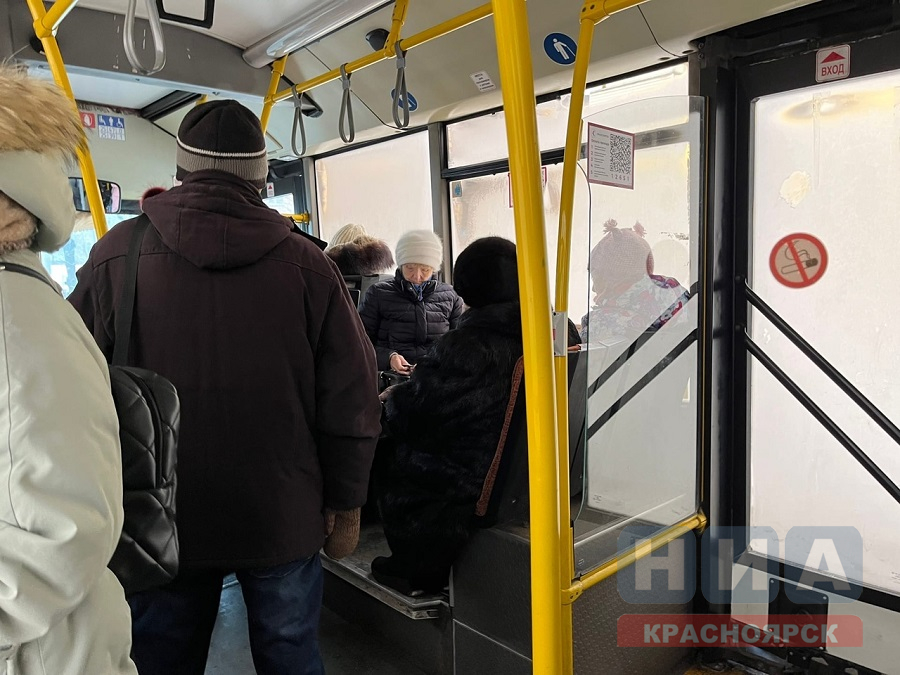 avtobus zima salon nia